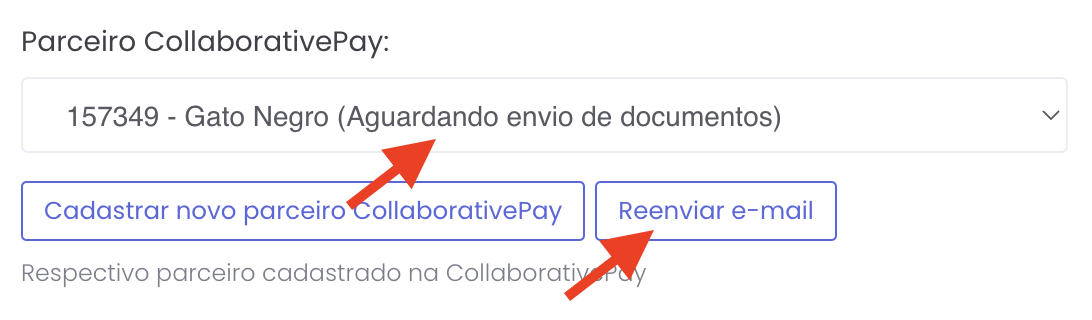 Campo de parceiro com o botão para reenviar o e-mail de documentos